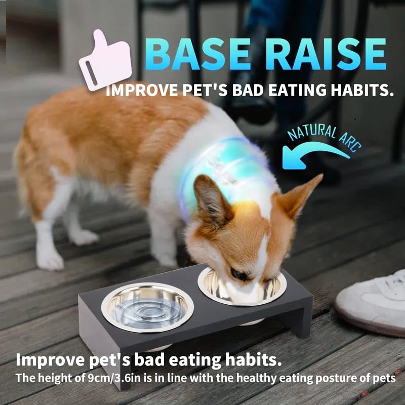 Elevated Dog Bowl Stand with Stainless Steel Bowls, Wooden Top, for Small and Medium Dogs, Anti-Slip Modern Pet Feeding Station