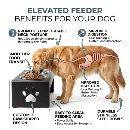 Pet Feeder Stainless Steel Food & Water Bowls with Stand | MDF Wood Elevated Dog Feeding Station with Double Bowl Design | Raised Feeding Stand for Medium & Large Dogs | 40 x 25 x 25 cm (Black)