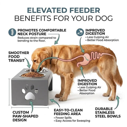 Pet Feeder Stainless Steel Food & Water Bowls with Stand | MDF Wood Elevated Dog Feeding Station with Double Bowl Design | Raised Feeding Stand for Medium & Large Dogs | 40 x 25 x 25 cm (Grey)