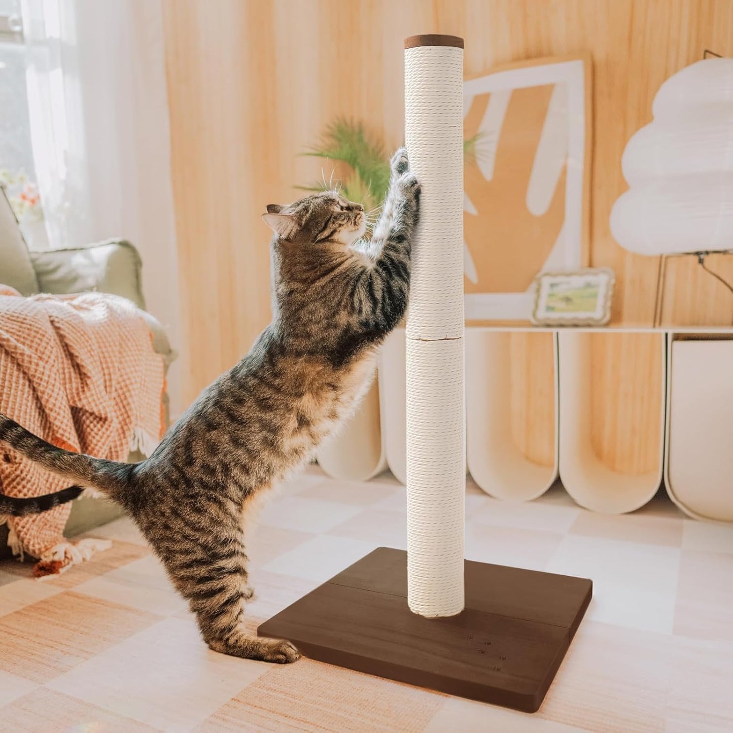 Natural Wooden Pet Tree for Cats & Dogs | Strong, Eco-Friendly Climbing & Scratching Tree Ages | Stylish Pet Tree for Your Home