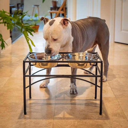 Pet Feeder For Dogs & Cats|Pets Food Bowl Elevated Dog Bowl Stand Stainless Steel Food And Water Bowls With Iron Stand (Large 2 Bowls),?47 cm,H_25 cm,W_25 cm