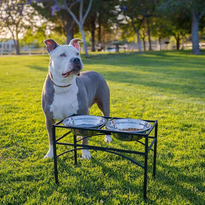 Pet Feeder For Dogs & Cats|Pets Food Bowl Elevated Dog Bowl Stand Stainless Steel Food And Water Bowls With Iron Stand (Large 2 Bowls),?47 cm,H_25 cm,W_25 cm